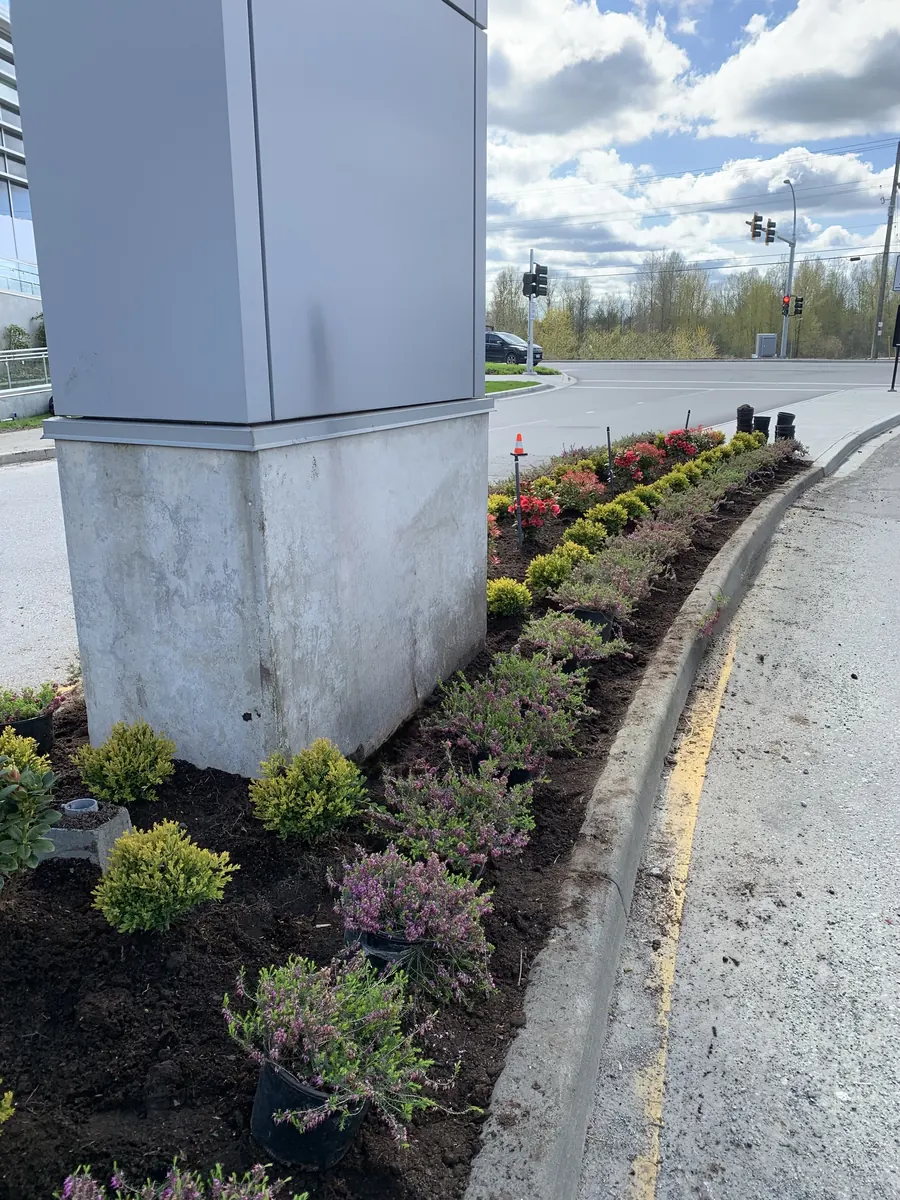 Freshly planted commercial flower bed beside a building
