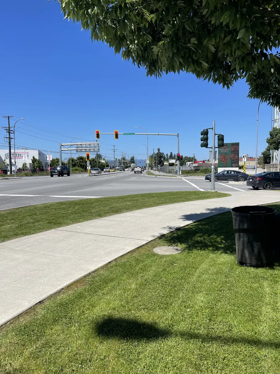Freshly maintained commercial lawn beside a city street